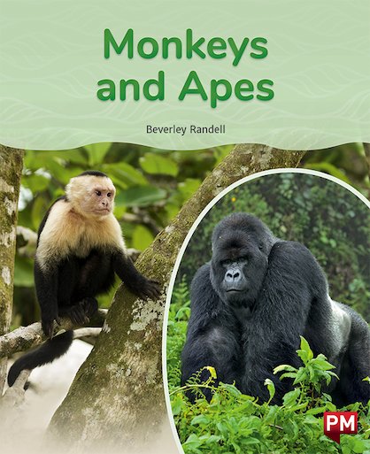 Monkeys and Apes (PM Non-fiction) Levels 18/19 x 6