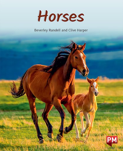 Horses (PM Non-fiction) Levels 20/21