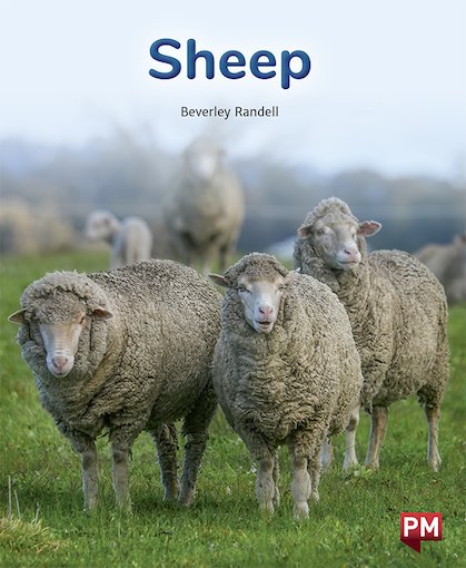 PM Purple: Sheep (PM Non-fiction) Levels 20/21 - Scholastic Shop