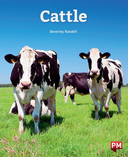 Cattle (PM Non-fiction) Levels 20/21