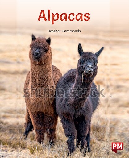 Alpacas (PM Non-fiction) Levels 20/21