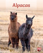 PM Purple: Alpacas (PM Non-fiction) Levels 20/21