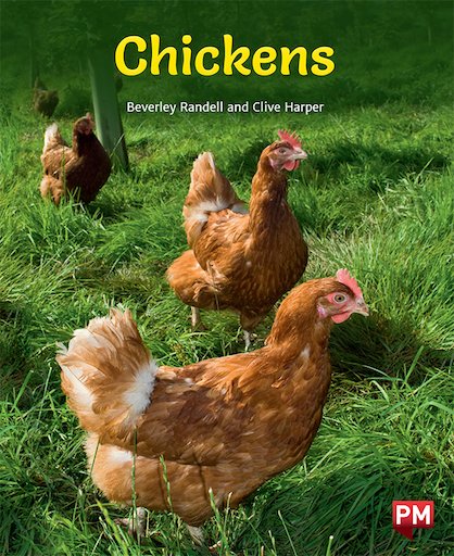 Chickens (PM Non-fiction) Levels 20/21 x 6