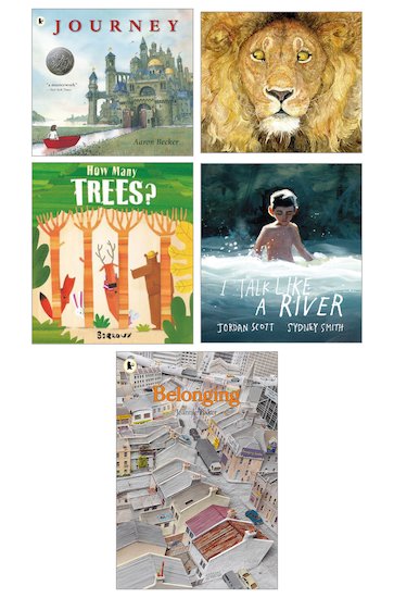 Wordless Picture Books Pk X7