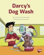 PM Gold: Darcy's Dog Wash (PM Storybooks) Level 22