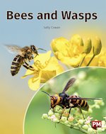 PM Gold: Bees and Wasps (PM Non-fiction) Level 22