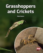 PM Gold: Grasshoppers and Crickets (PM Non-fiction) Level 22