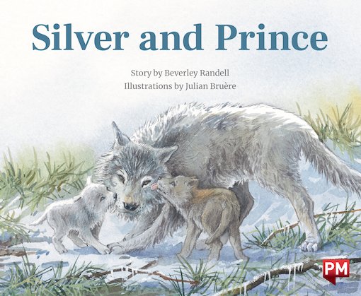 Silver and the Prince (PM Storybooks) Level 24