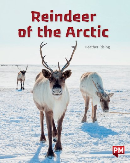 Arctic Reindeer (PM Non-fiction) Level 23