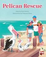 PM Silver: Pelican Rescue (PM Storybooks) Level 24