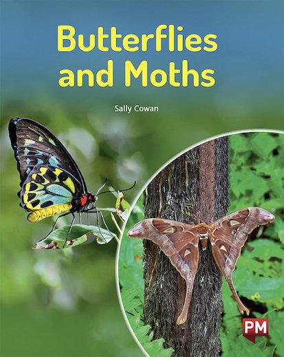 Butterflies and Moths (PM Non-fiction) Level 22 x 6