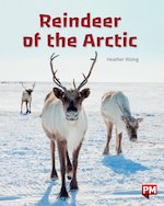 Arctic Reindeer (PM Non-fiction) Level 23 x 6