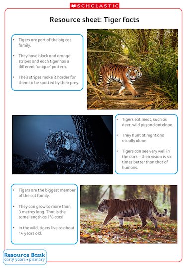 Tiger Facts for Kids - Growing Play