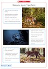 Resource sheet: Tiger facts