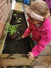 Girl putting plants into a raised flowerbed