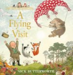 A Flying Visit