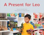 PM Yellow: A Present for Leo (PM Non-fiction) Level 7