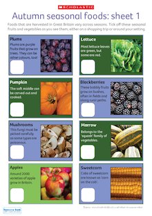 Autumn scavenger hunt: seasonal foods