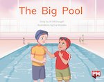 PM Blue: The Big Pool (PM Storybooks) Level 10