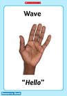 Common hand gestures