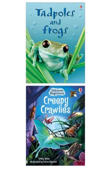 Usborne Beginners (2 Book Set B)