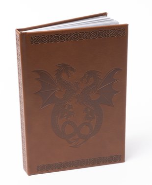 Double Dragon Journal - Scholastic Kids' Club