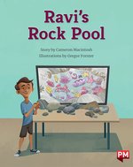 PM Purple: Ravi's Rock Pool (PM Storybooks) Level 20