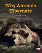 PM Purple: Why Animals Hibernate (PM Non-fiction) Level 20