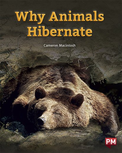 Why Animals Hibernate (PM Non-fiction) Level 20×6 - Scholastic Shop