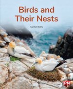 PM Orange: Birds and Their Nests (PM Non-fiction) Level 16