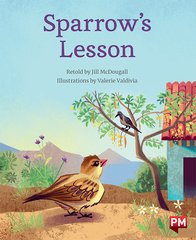 Sparrow's Lesson x6 PM