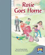 PM Silver: Roise Goes Home (PM Storybooks) Level 24