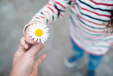 child handing flower to mother child handing flower to mother