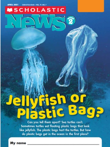 Slideshow: the plastic bag problem – Primary KS2 teaching resource ...