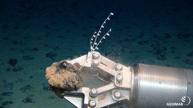 ROV gripper arm ROV gripper arm