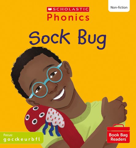 Sock Bug (Set 2) Matched to Little Wandle Letters and Sounds Revised