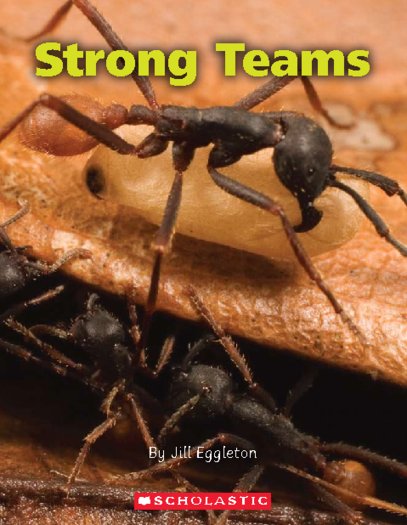 Strong Teams