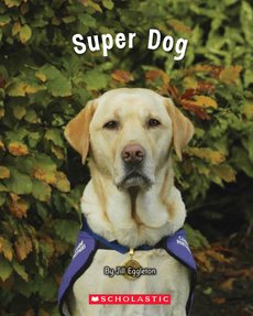Super Dog (Blue Pack) Super Dog (Blue Pack)