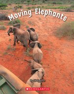 Connectors Starters: Moving Elephants (Green Pack)