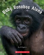 Connectors Starters: Baby Bonobos Alone (Green Pack)