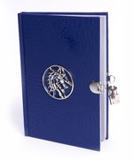 Blue Dragon Diary