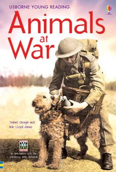 Usborne Young Reading