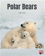 PM Silver: Polar Bears (PM Non-fiction) Level 23