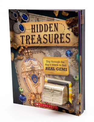 Hidden Treasures Activity Book