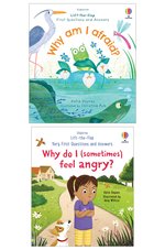 Usborne Lift the Flap Feelings