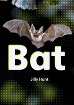 Striders Phonics Readers: Bat (Set 02)