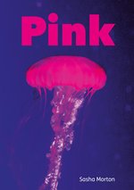 Striders Phonics Readers: Pink (Set 04) x6