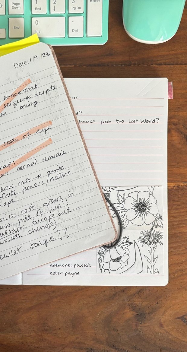 The Virtue Season – L. M. Nathan's notebooks 2
