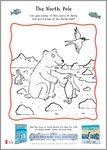 Jonty Gentoo: Adventures of a Penguin Activity Sheet 2 (1 page)