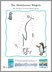 Download Jonty Gentoo: Adventures of a Penguin Activity Sheet 3